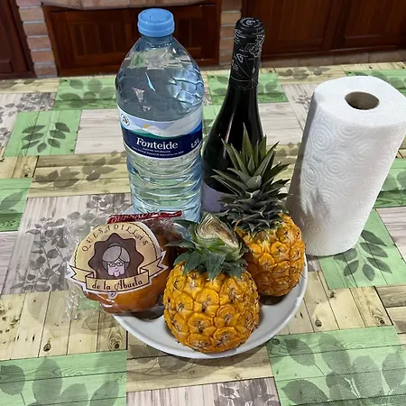 Morales 弗龙特拉